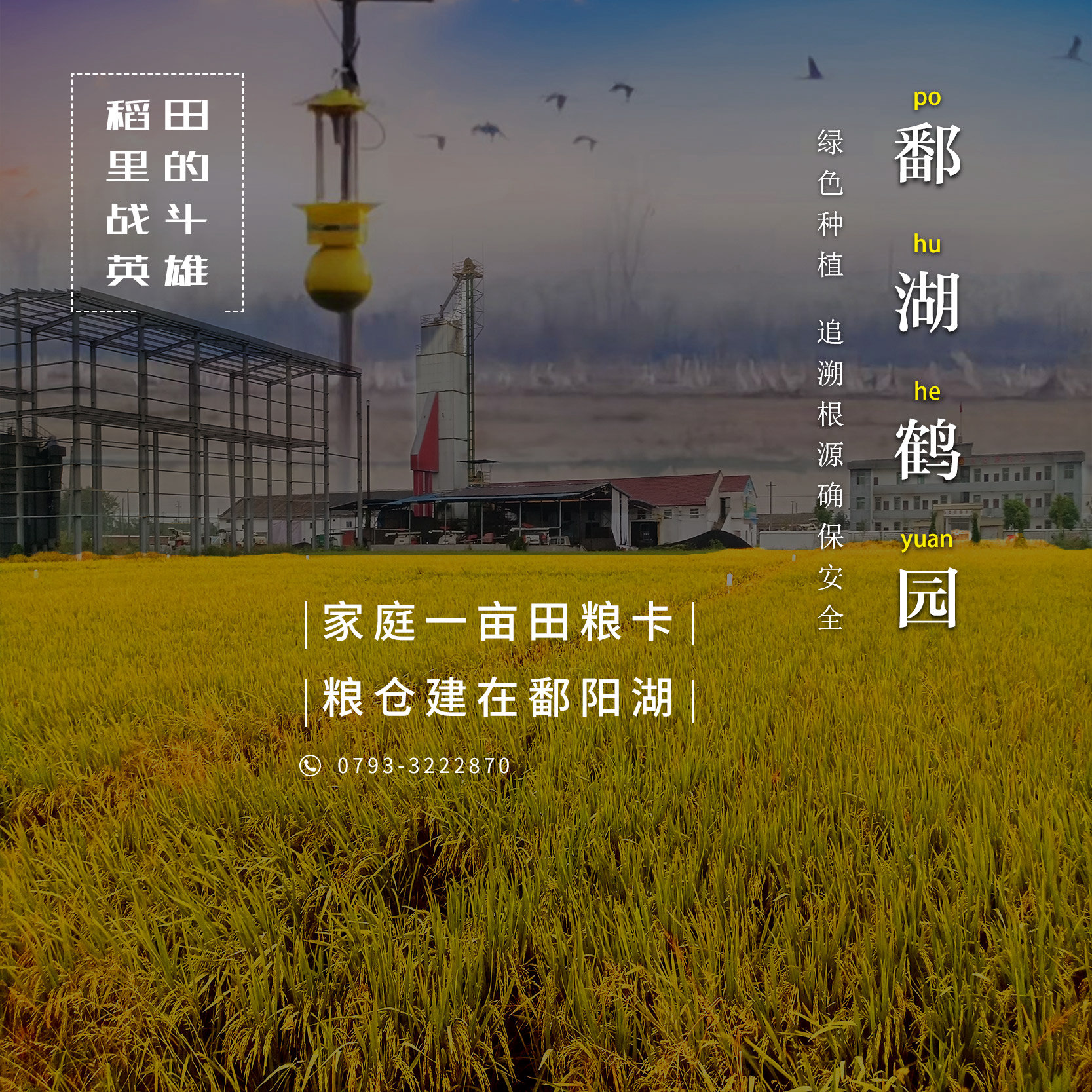 募集#&#鄱陽(yáng)湖一畝良田的主人啦！